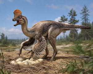 Oviraptor Dinosaur Egg