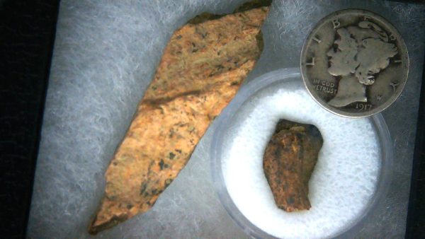 Triceratops Frill and Tooth Set Cretaceous Age Small Set 13a | Fossils for Sale Genuine Cretaceous Age Triceratops Frill and Tooth Set Fossil for Sale from South Dakota #13a