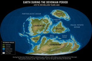 Devonian Map | Fossils for Sale Syntheotodus trisulcatus
