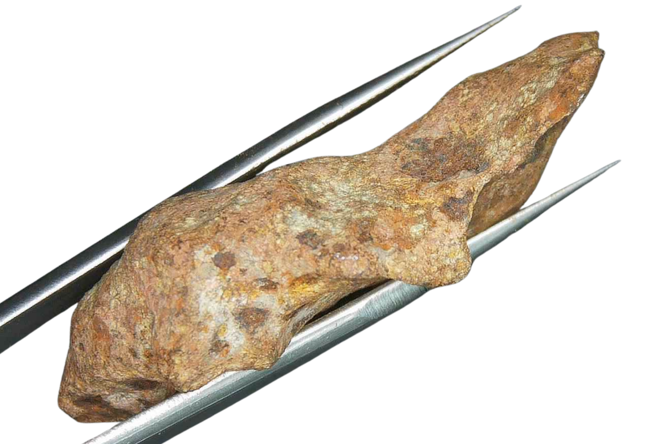 Henbury Iron Nickel Meteorite from Australia 13c | Fossils for Sale