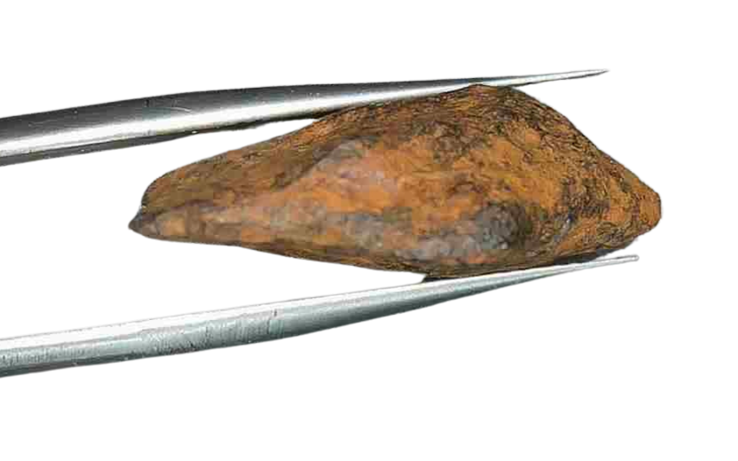 Henbury Iron Nickel Meteorite from Australia 1b | Fossils for Sale