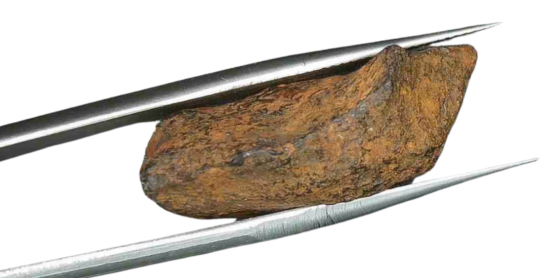 Henbury Iron Nickel Meteorite from Australia 4b | Fossils for Sale