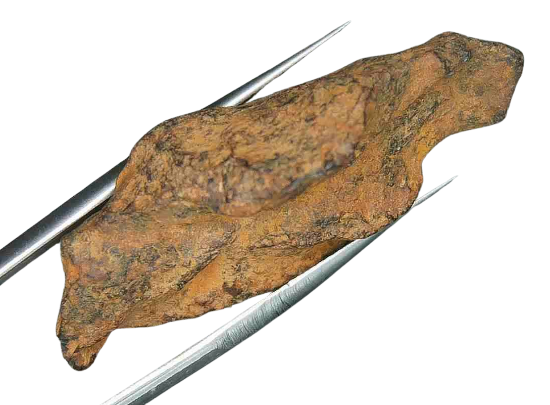 Henbury Iron Nickel Meteorite from Australia 9b | Fossils for Sale