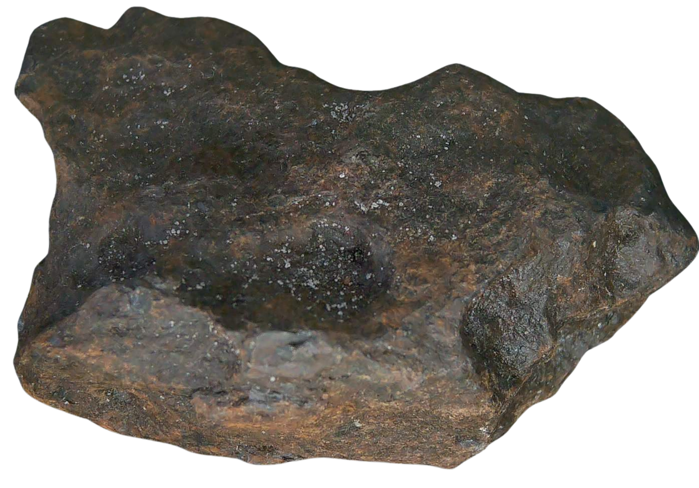 Mundrabilla Iron Medium Octahedrite Meteorite from Australia 16 | Fossils for Sale
