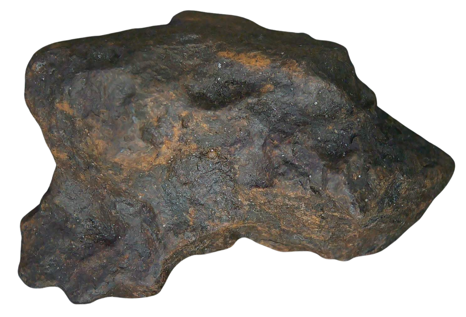 Mundrabilla Iron Medium Octahedrite Meteorite from Australia 16b | Fossils for Sale