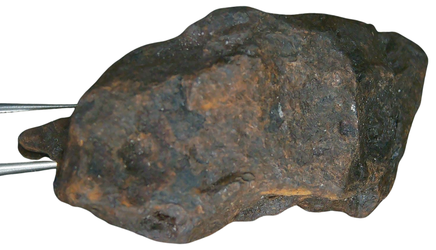 Mundrabilla Iron Medium Octahedrite Meteorite from Australia 16c | Fossils for Sale