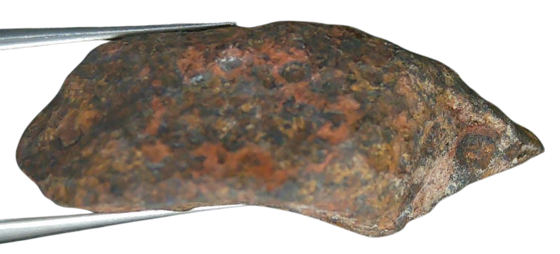 Mundrabilla Iron Medium Octahedrite Meteorite from Australia 1b | Fossils for Sale
