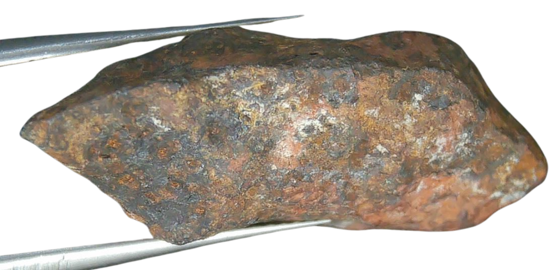 Mundrabilla Iron Medium Octahedrite Meteorite from Australia 1c | Fossils for Sale
