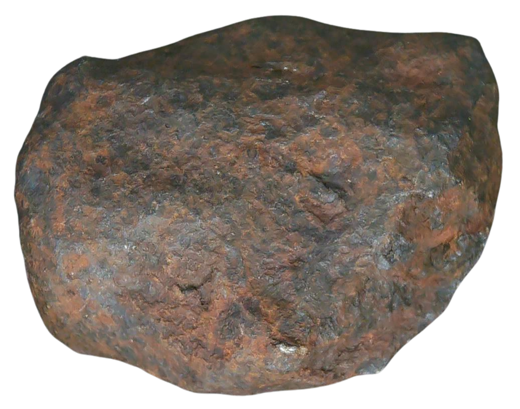 Mundrabilla Iron Medium Octahedrite Meteorite from Australia 2 | Fossils for Sale