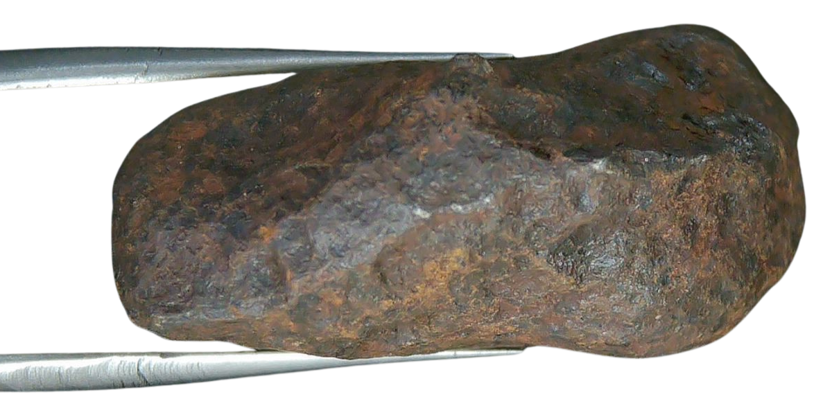 Mundrabilla Iron Medium Octahedrite Meteorite from Australia 2B | Fossils for Sale