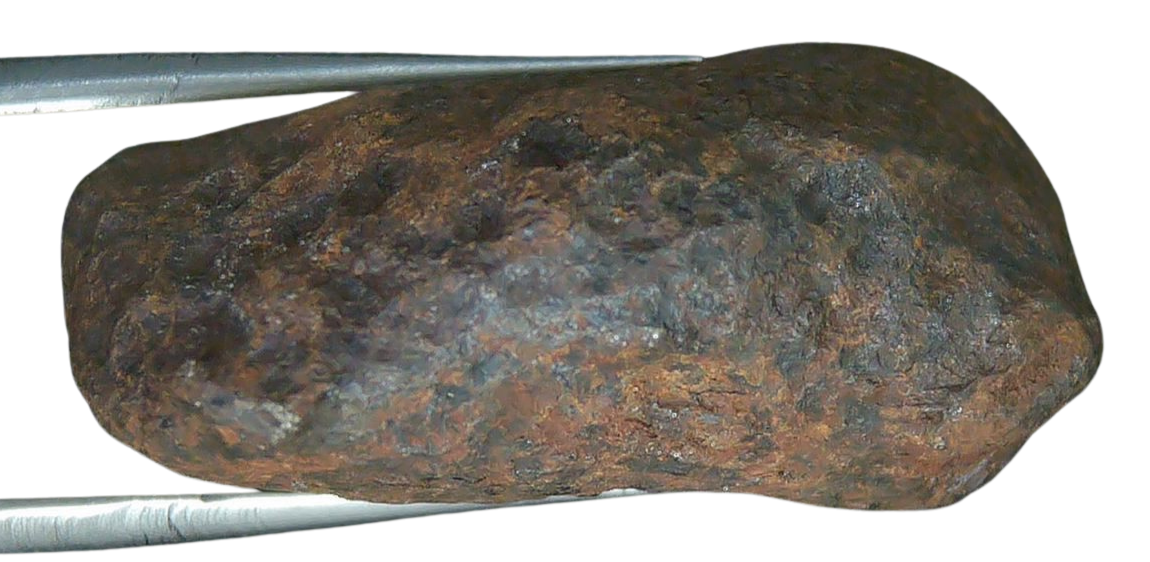 Mundrabilla Iron Medium Octahedrite Meteorite from Australia 2C | Fossils for Sale