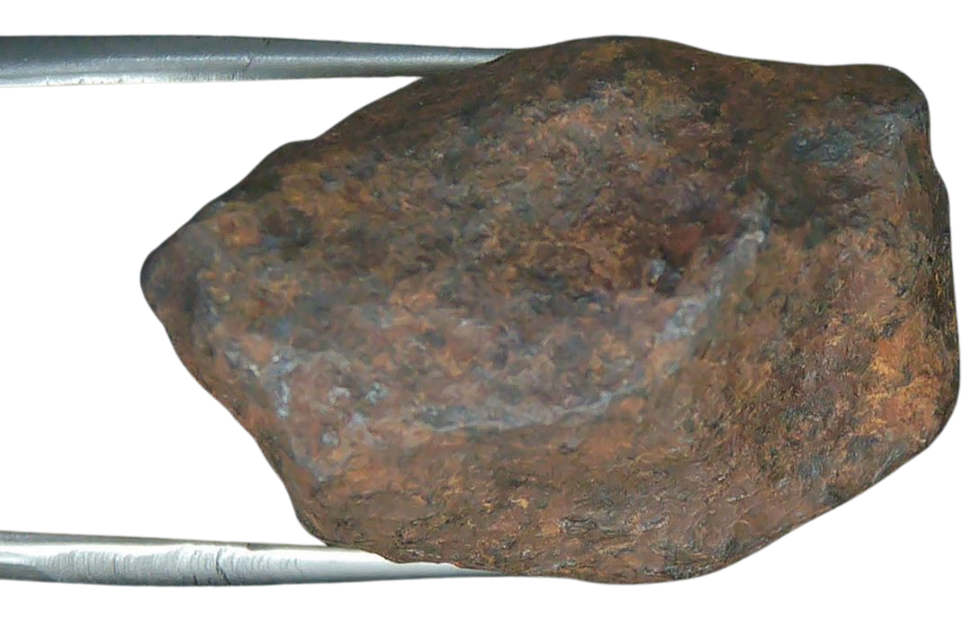 Mundrabilla Iron Medium Octahedrite Meteorite from Australia 6b | Fossils for Sale