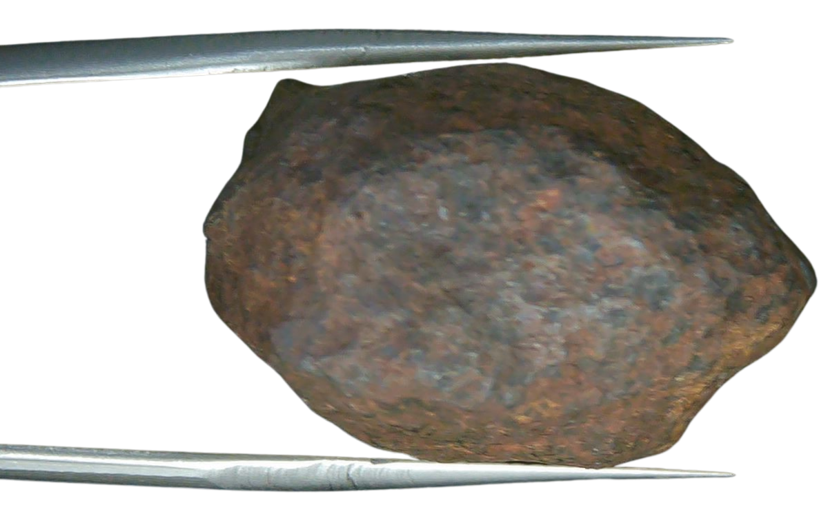 Mundrabilla Iron Medium Octahedrite Meteorite from Australia 6c | Fossils for Sale