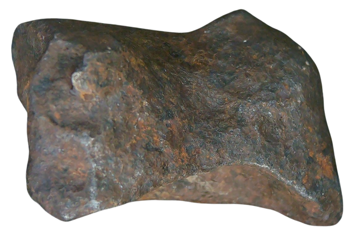 Mundrabilla Iron Medium Octahedrite Meteorite from Australia 8a | Fossils for Sale