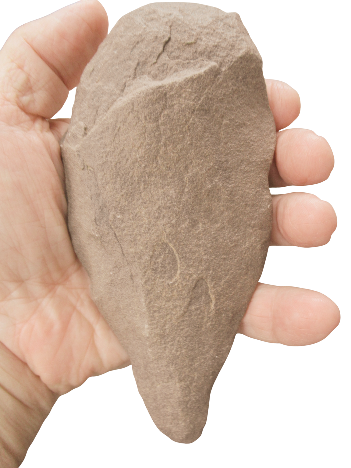 Paleolithic Hand Tool from Algeria and Morocco Region Africa 7 | Fossils for Sale