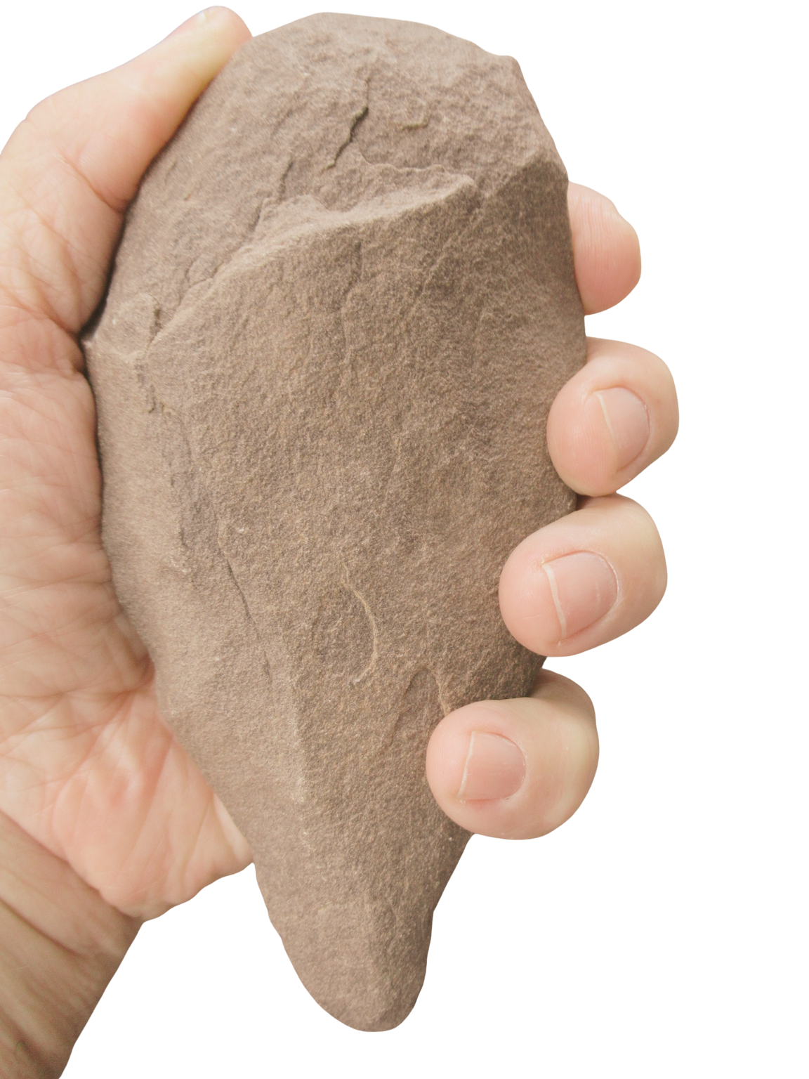 Paleolithic Hand Tool from Algeria and Morocco Region Africa 7a | Fossils for Sale