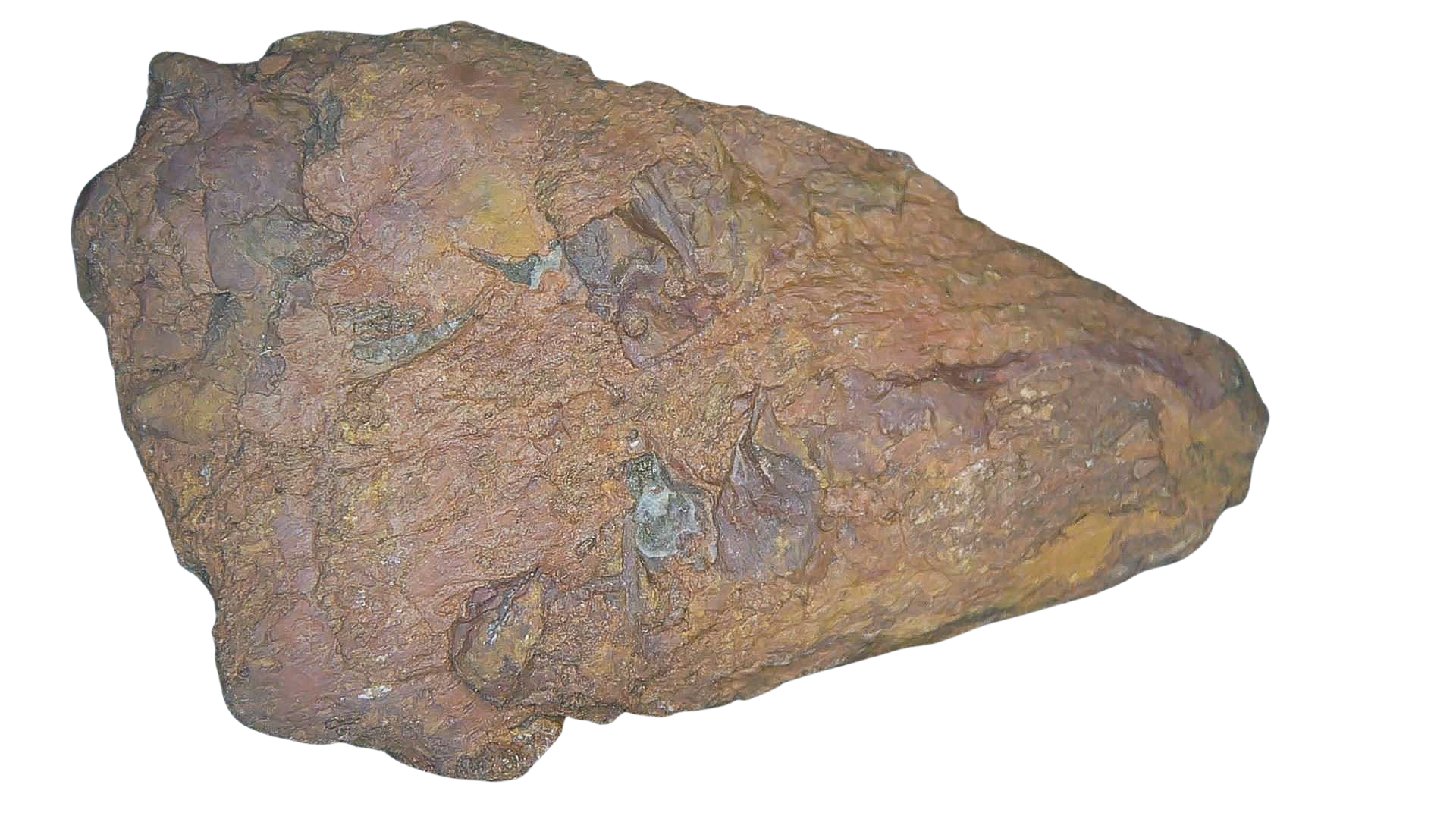 Permian Reptile Coprolite for Sale from Texas Red Beds 73a | Fossils for Sale Genuine Permian Age Coprolite for Sale from Texas Red Beds #73a