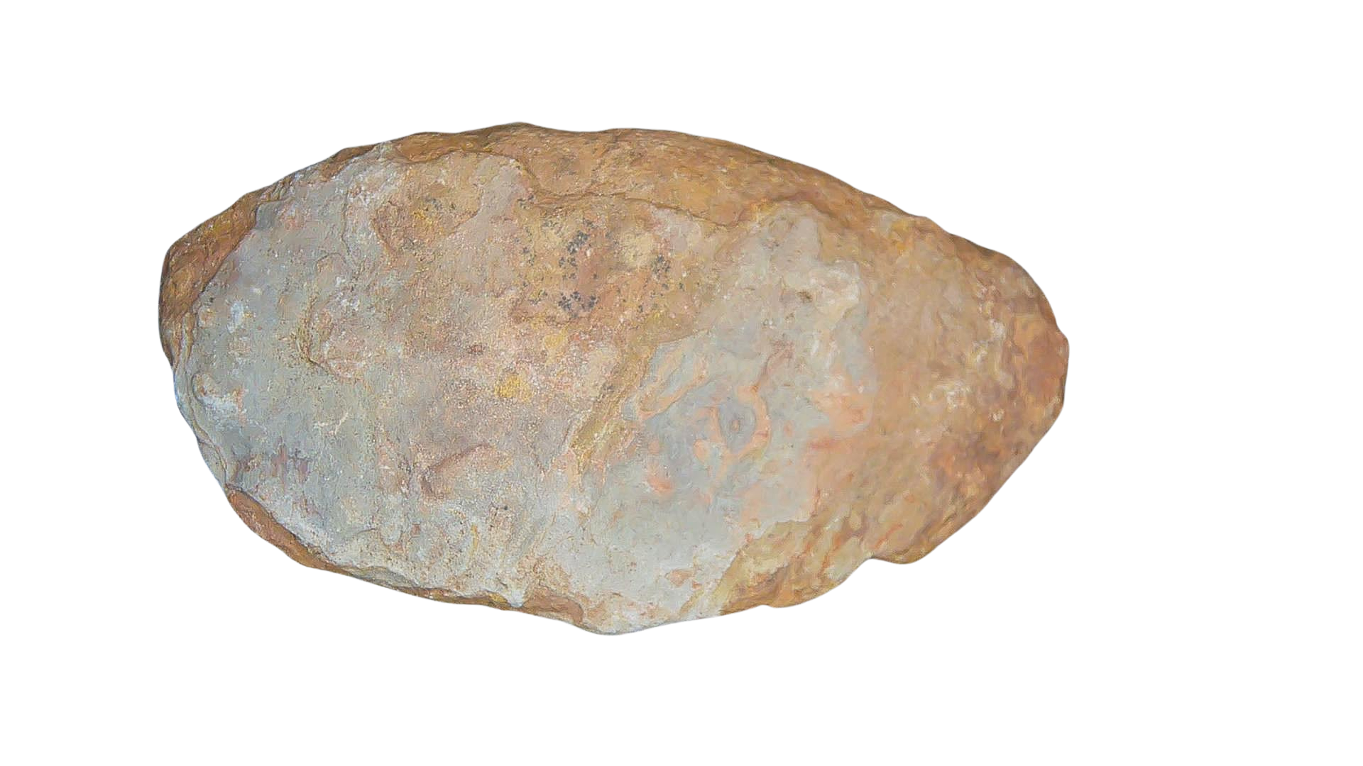Permian Reptile Coprolite for Sale from Texas Red Beds 77 | Fossils for Sale Genuine Permian Age Coprolite for Sale from Texas Red Beds #77