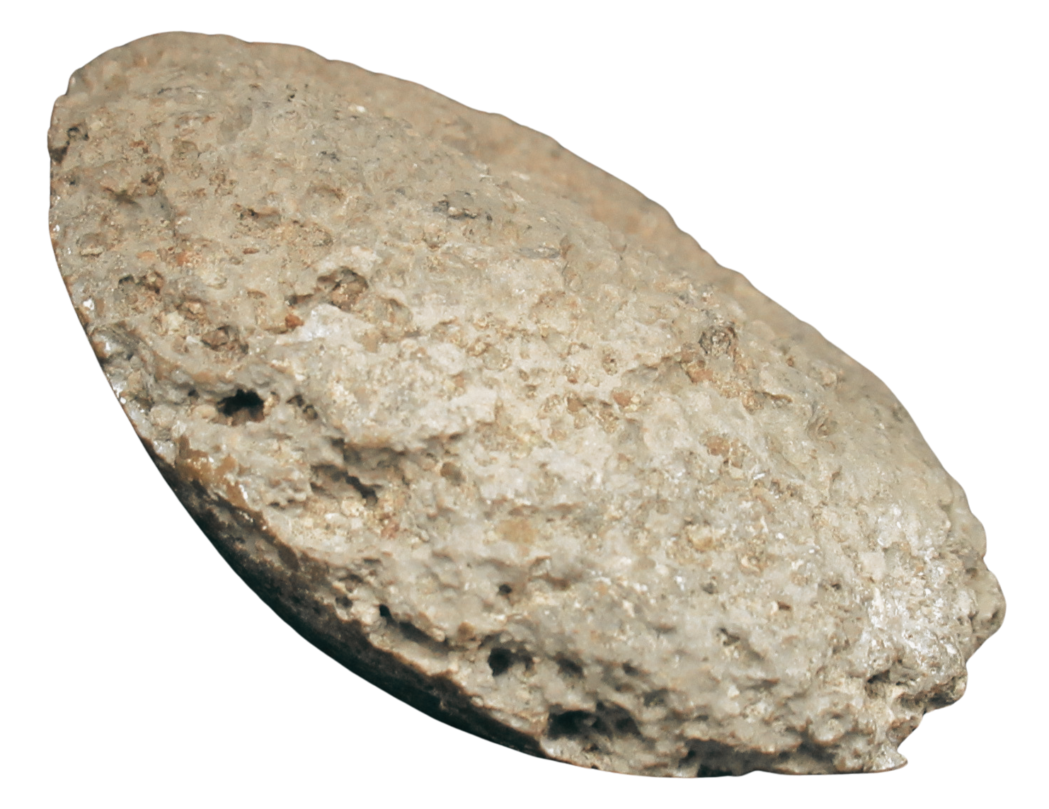 Rare Freshwater Oncolite Stromatolite from Mexico 16b | Fossils for Sale