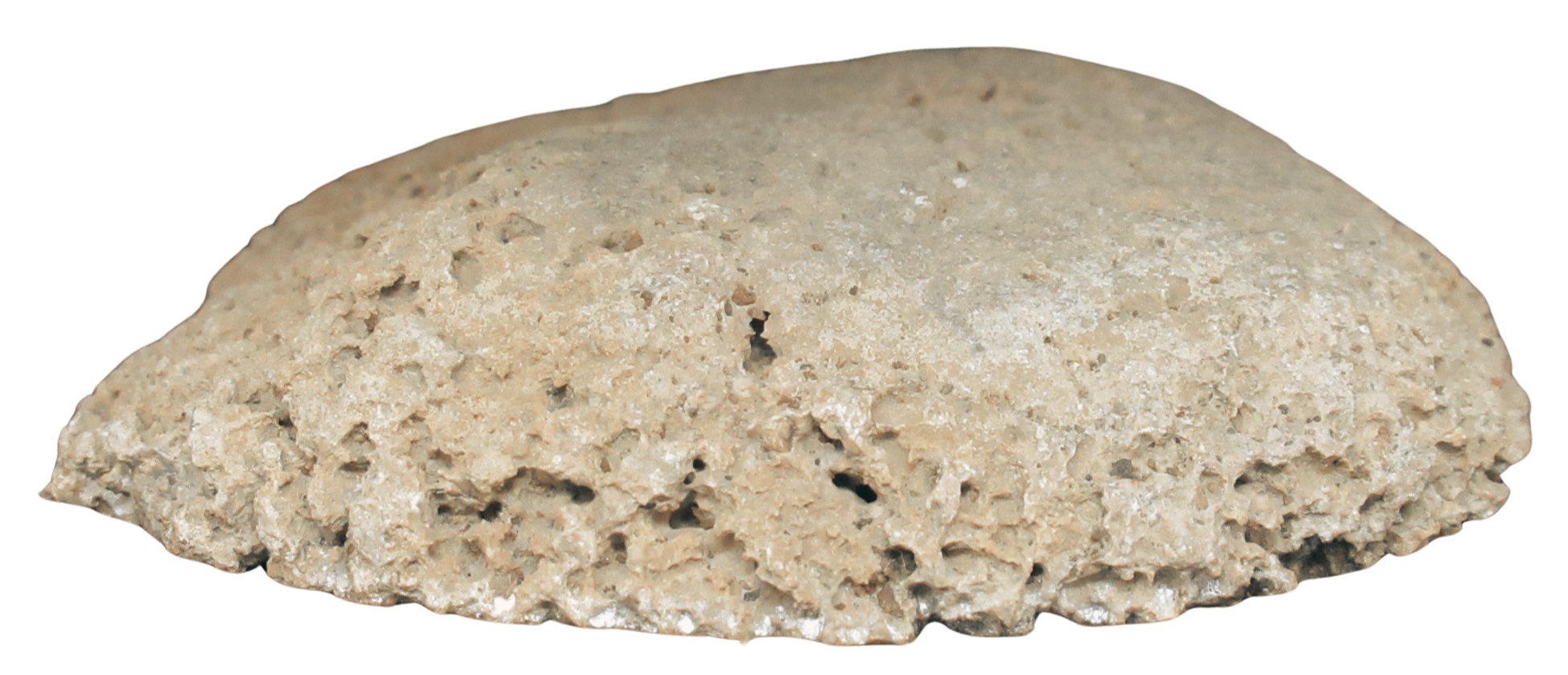 Rare Freshwater Oncolite Stromatolite from Mexico 17a | Fossils for Sale