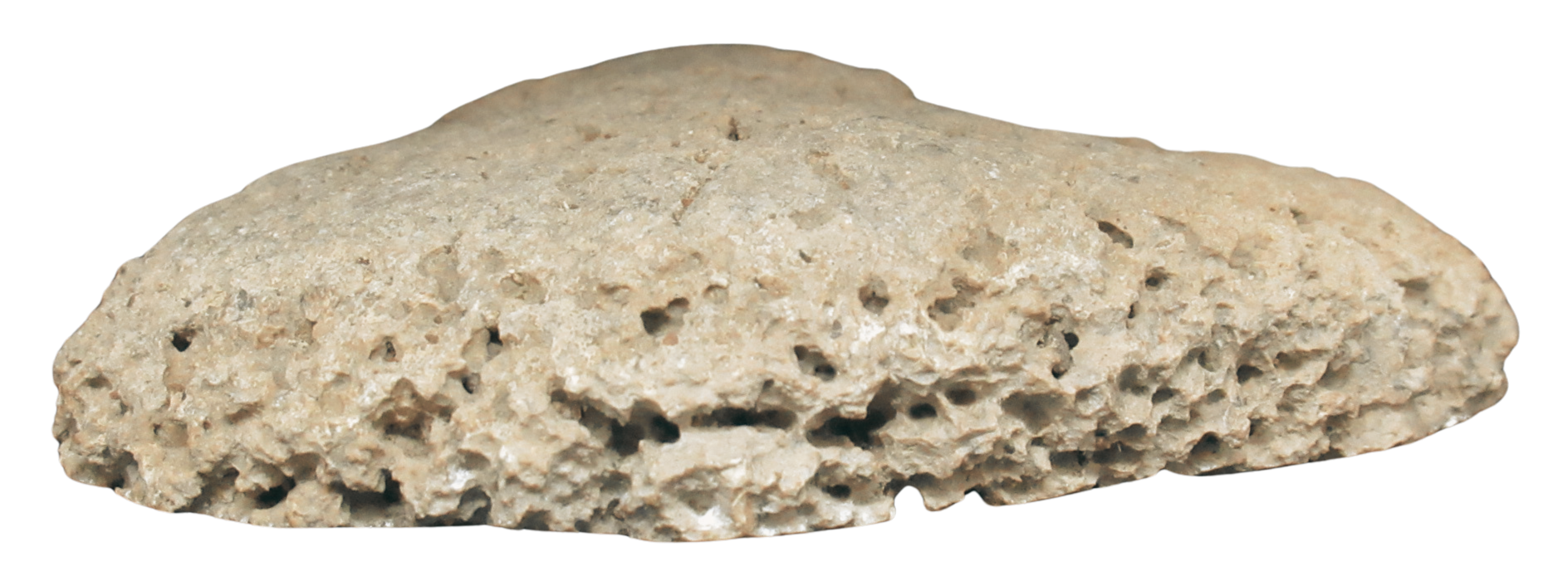 Rare Freshwater Oncolite Stromatolite from Mexico 17b | Fossils for Sale