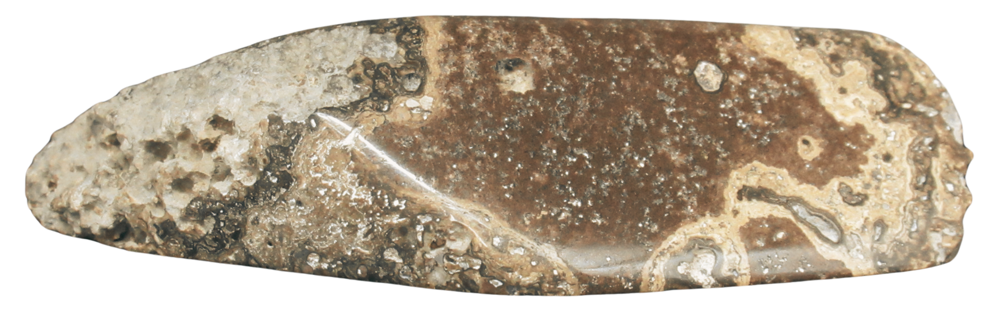 Rare Freshwater Oncolite Stromatolite from Mexico 18c | Fossils for Sale