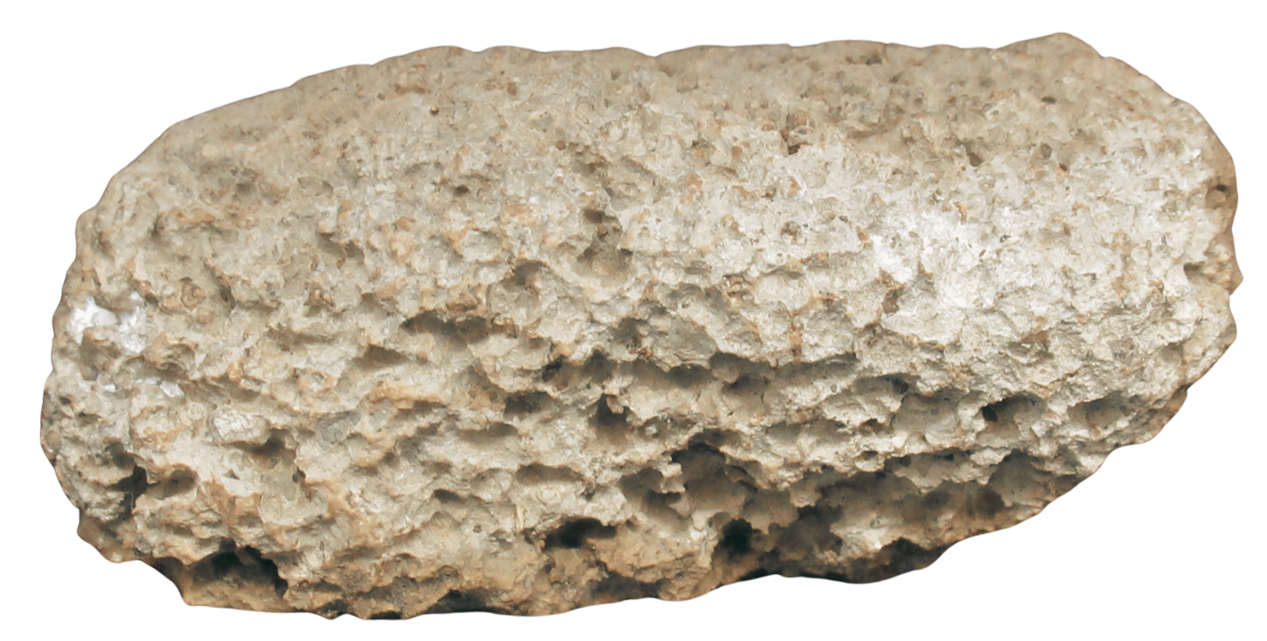 Rare Freshwater Oncolite Stromatolite from Mexico 19c | Fossils for Sale