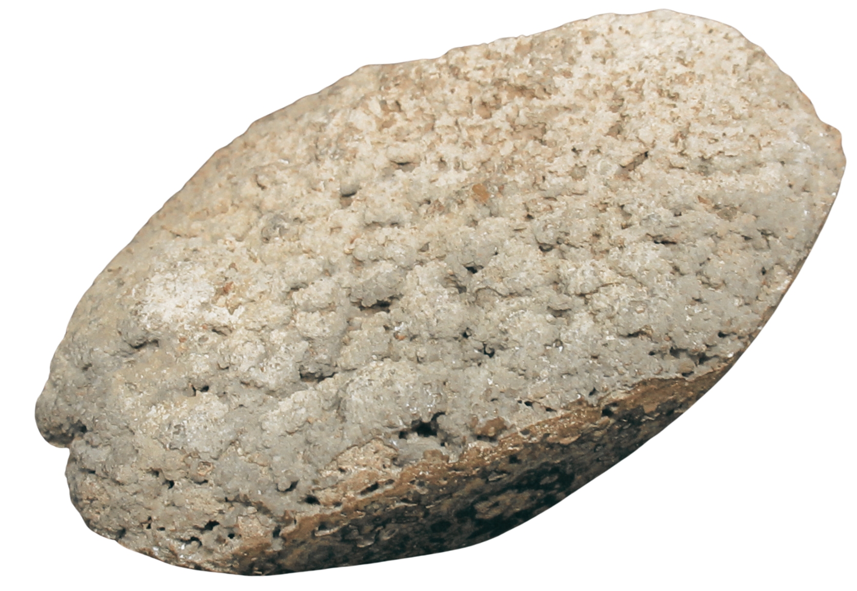 Rare Freshwater Oncolite Stromatolite from Mexico 1a | Fossils for Sale