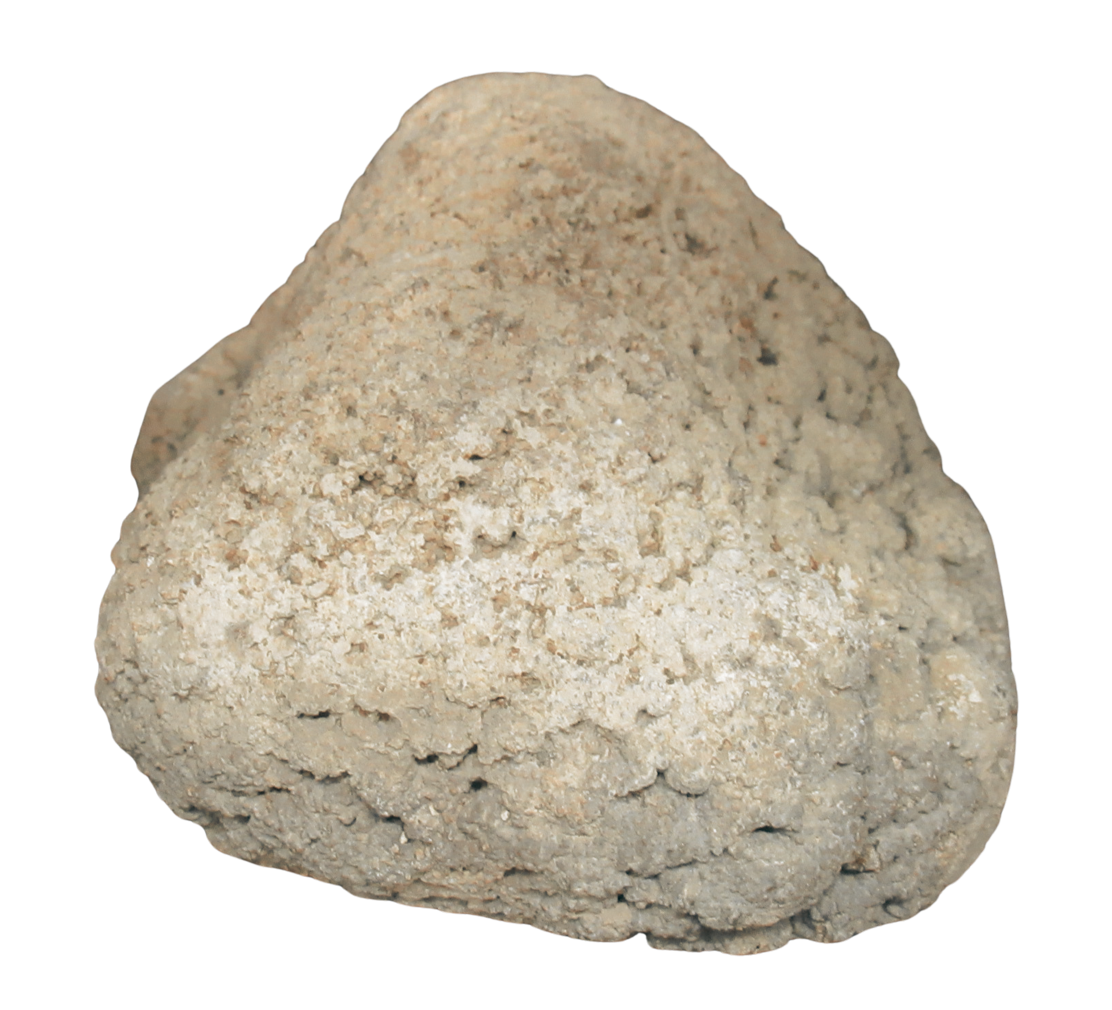 Rare Freshwater Oncolite Stromatolite from Mexico 1b | Fossils for Sale