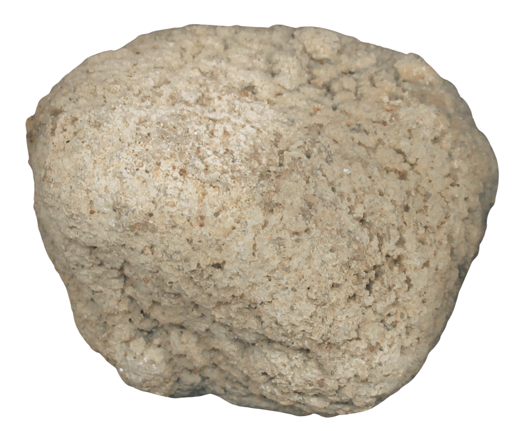 Rare Freshwater Oncolite Stromatolite from Mexico 1c | Fossils for Sale