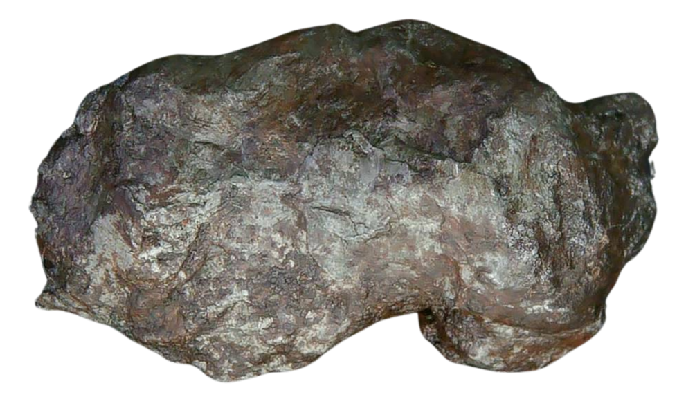 Sikhote-Alin Russian Meteorite For Sale 18 | Fossils for Sale