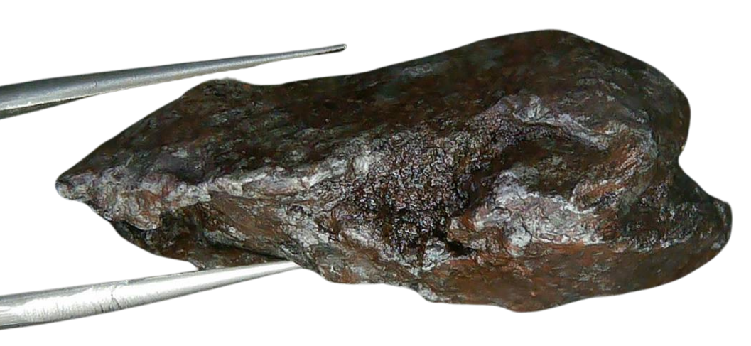 Sikhote-Alin Russian Meteorite For Sale 18b | Fossils for Sale