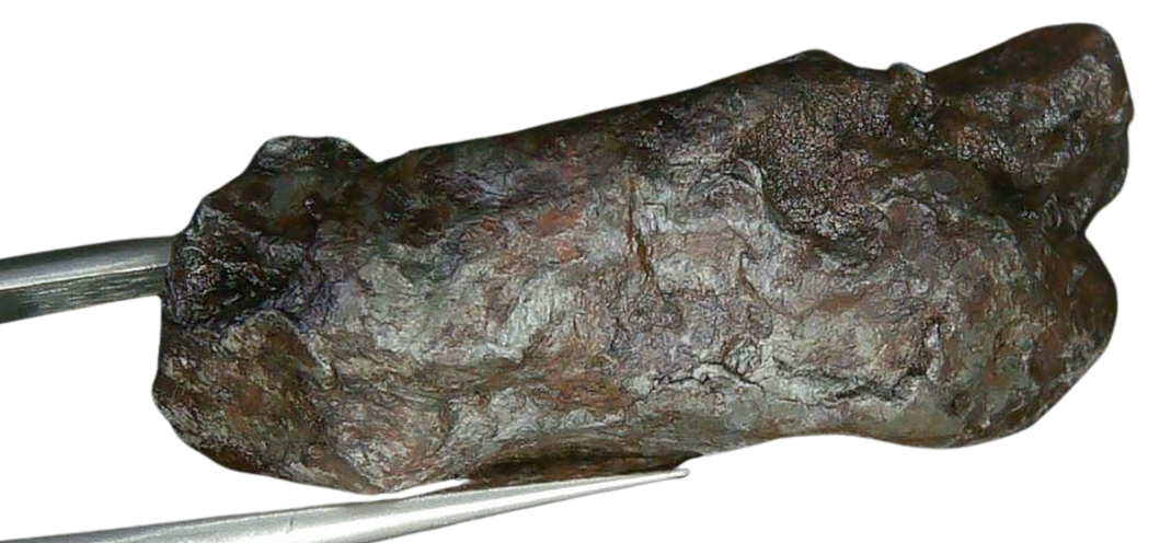 Sikhote-Alin Russian Meteorite For Sale 18c | Fossils for Sale