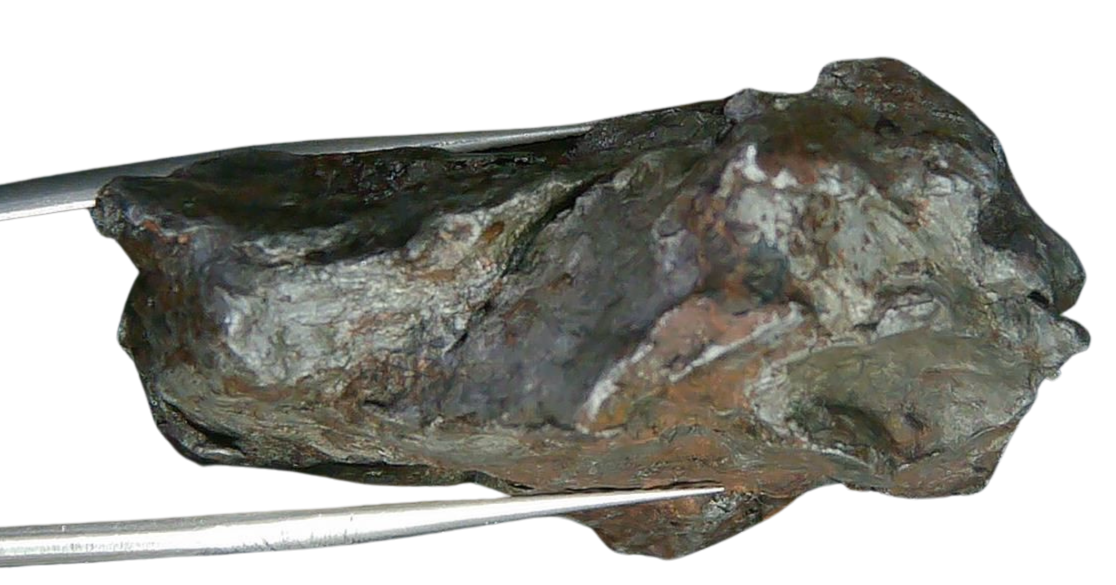 Sikhote-Alin Russian Meteorite For Sale 19b | Fossils for Sale