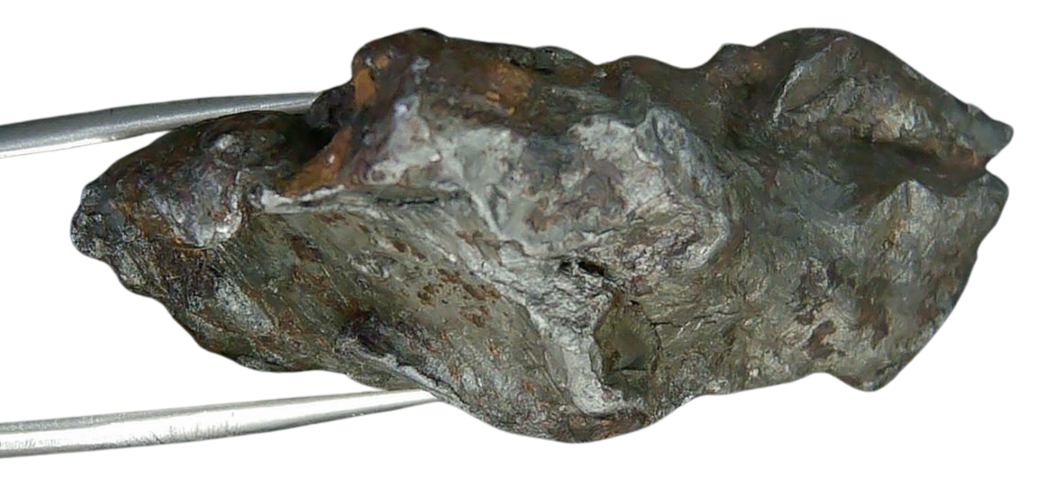 Sikhote-Alin Russian Meteorite For Sale 19c | Fossils for Sale