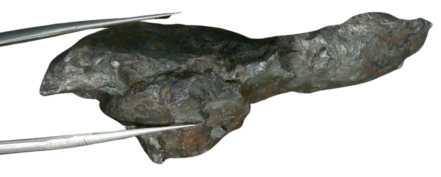 Sikhote-Alin Russian Meteorite For Sale 21c | Fossils for Sale