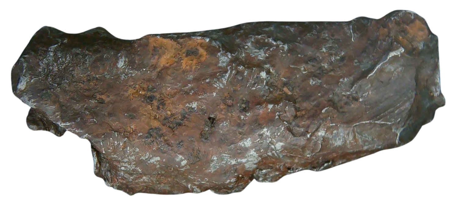 Sikhote-Alin Russian Meteorite For Sale 22 | Fossils for Sale