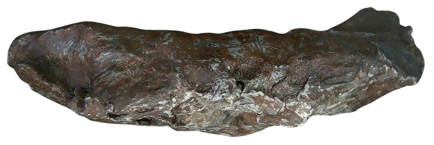 Sikhote-Alin Russian Meteorite For Sale 22a | Fossils for Sale