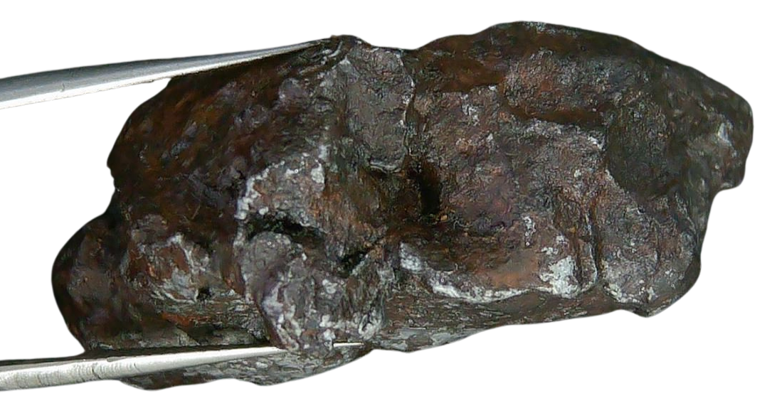 Sikhote-Alin Russian Meteorite For Sale 23c | Fossils for Sale