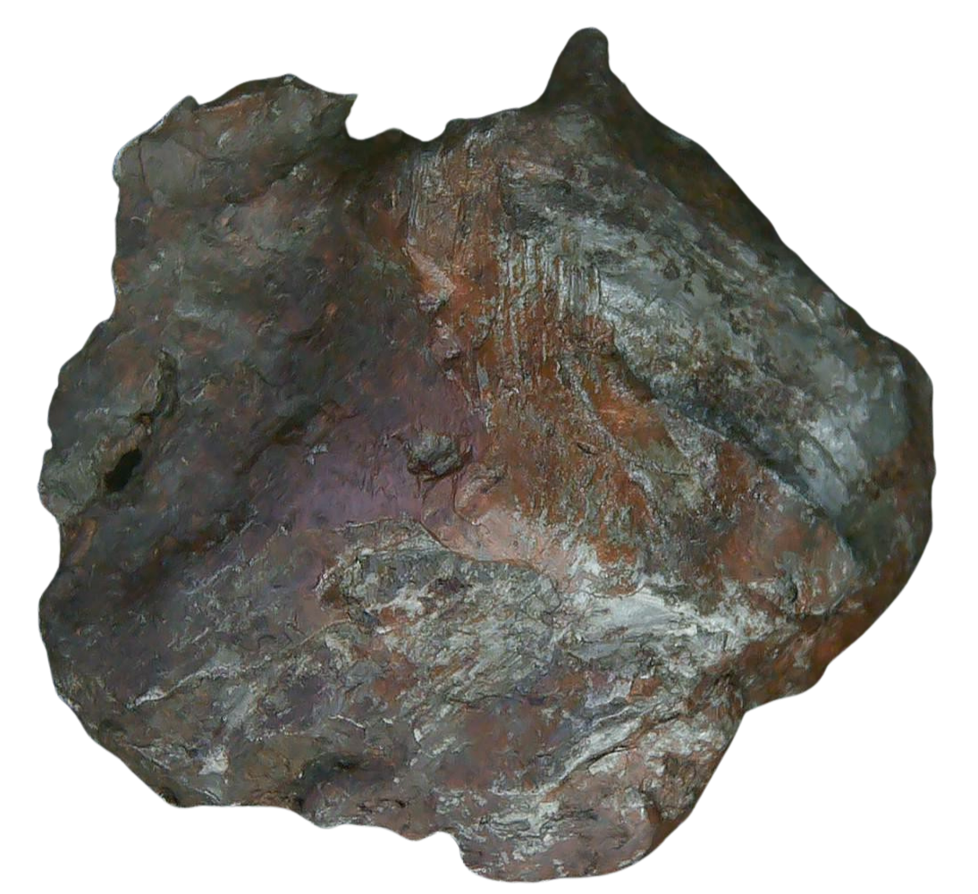 Sikhote-Alin Russian Meteorite For Sale 24 | Fossils for Sale