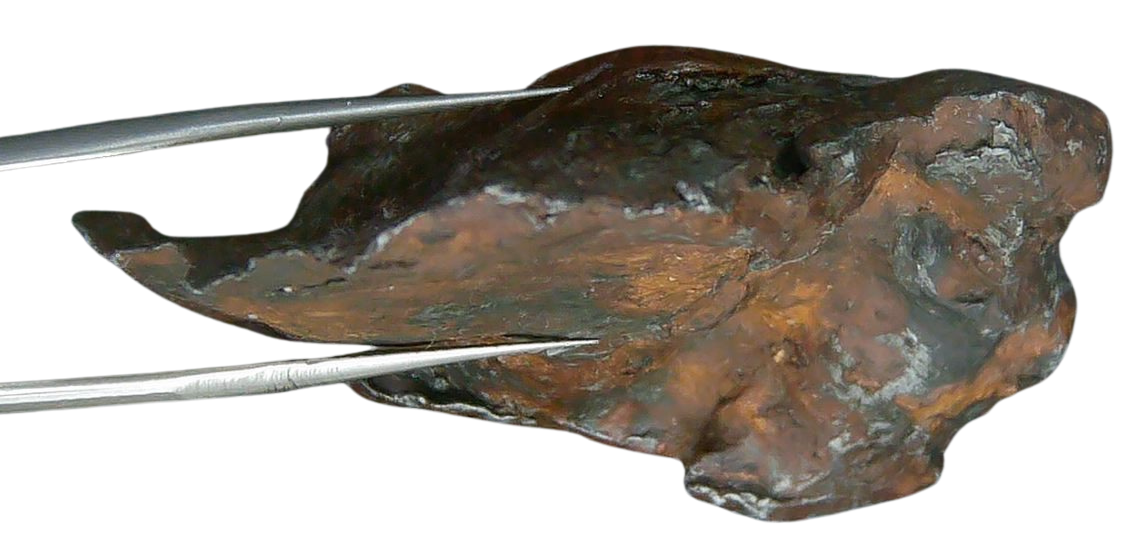 Sikhote-Alin Russian Meteorite For Sale 24b | Fossils for Sale