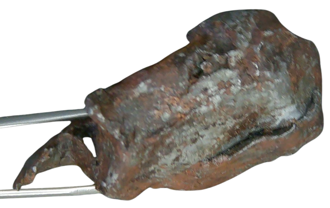 Sikhote-Alin Russian Meteorite For Sale 24c | Fossils for Sale