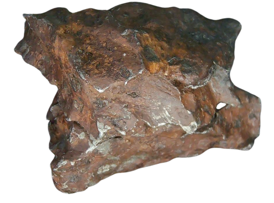 Sikhote-Alin Russian Meteorite For Sale 26 | Fossils for Sale