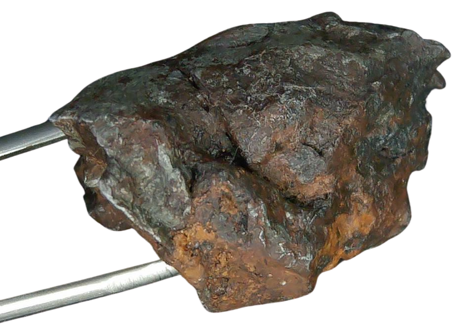 Sikhote-Alin Russian Meteorite For Sale 26a | Fossils for Sale