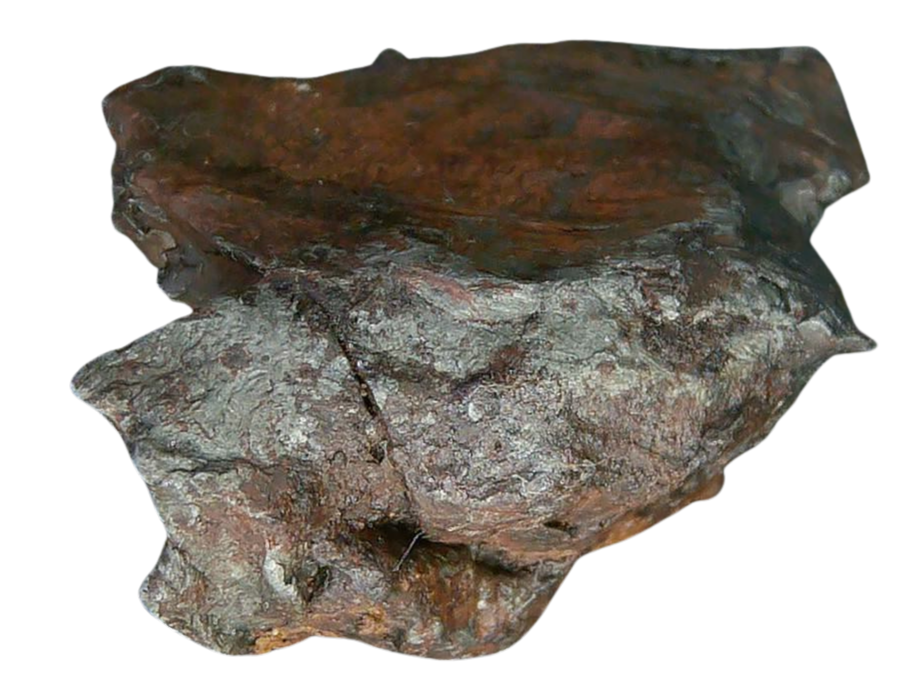 Sikhote-Alin Russian Meteorite For Sale 26b | Fossils for Sale