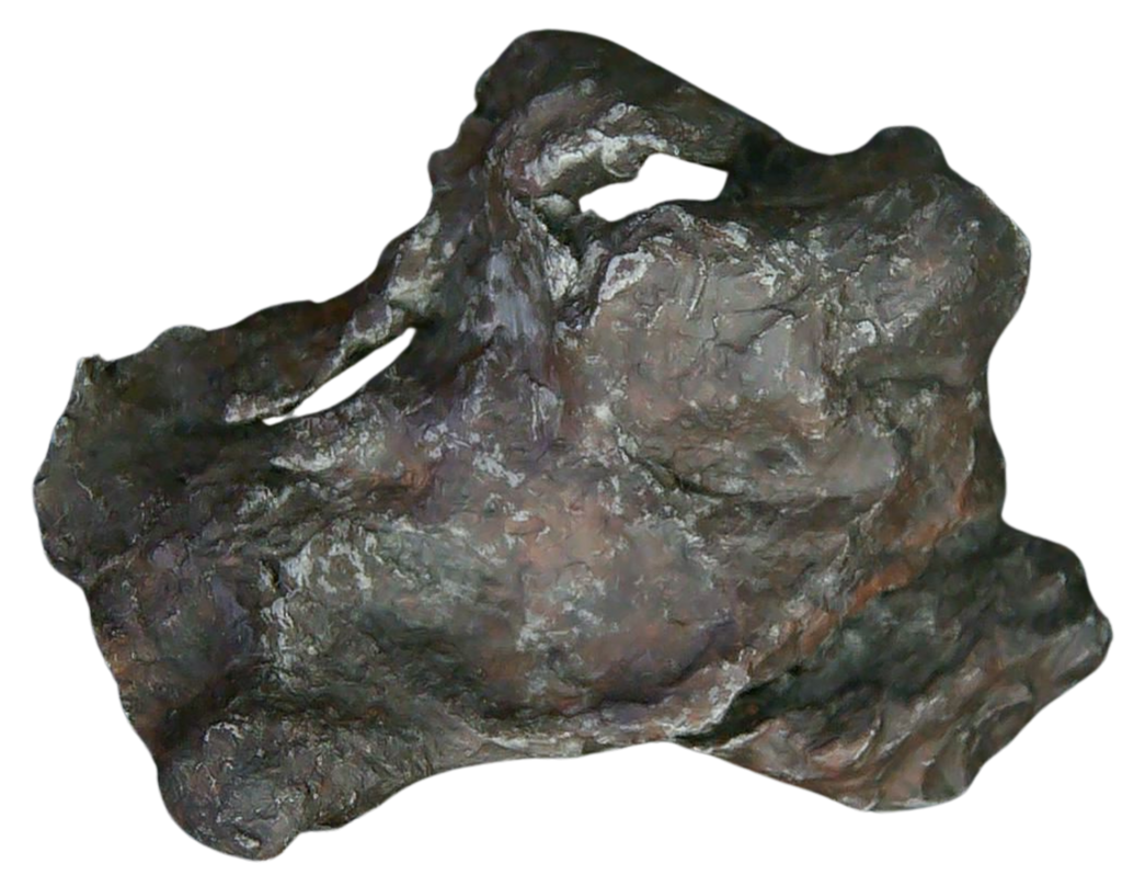 Sikhote-Alin Russian Meteorite For Sale 28 | Fossils for Sale