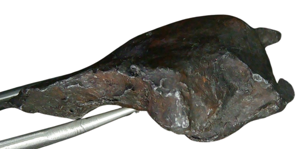 Sikhote-Alin Russian Meteorite For Sale 28a | Fossils for Sale