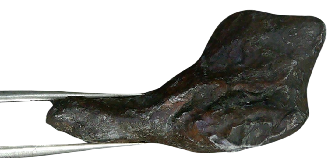 Sikhote-Alin Russian Meteorite For Sale 28c | Fossils for Sale