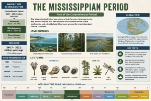 Mississippian Period | Fossils for Sale Mississippian Period