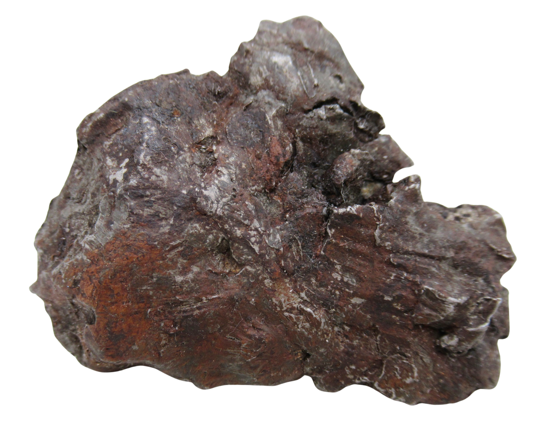 Nantan Iron Meteorite Fragment from China For Sale 1087 gram 15a | Fossils for Sale Genuine Nantan Iron Meteorite Fragment from China For Sale 783 gram #15a